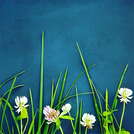 دانلود آهنگ امشو دلوم مجنونن جواد شیرو